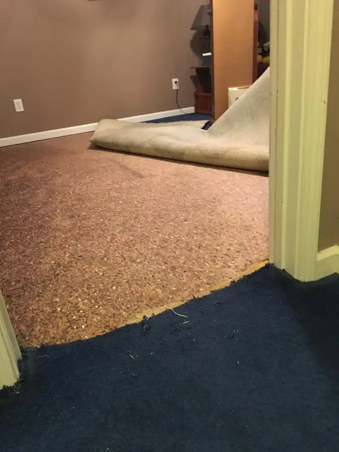 Carpet pad removal revealing water damage during Water Mitigation Services in Edmonds