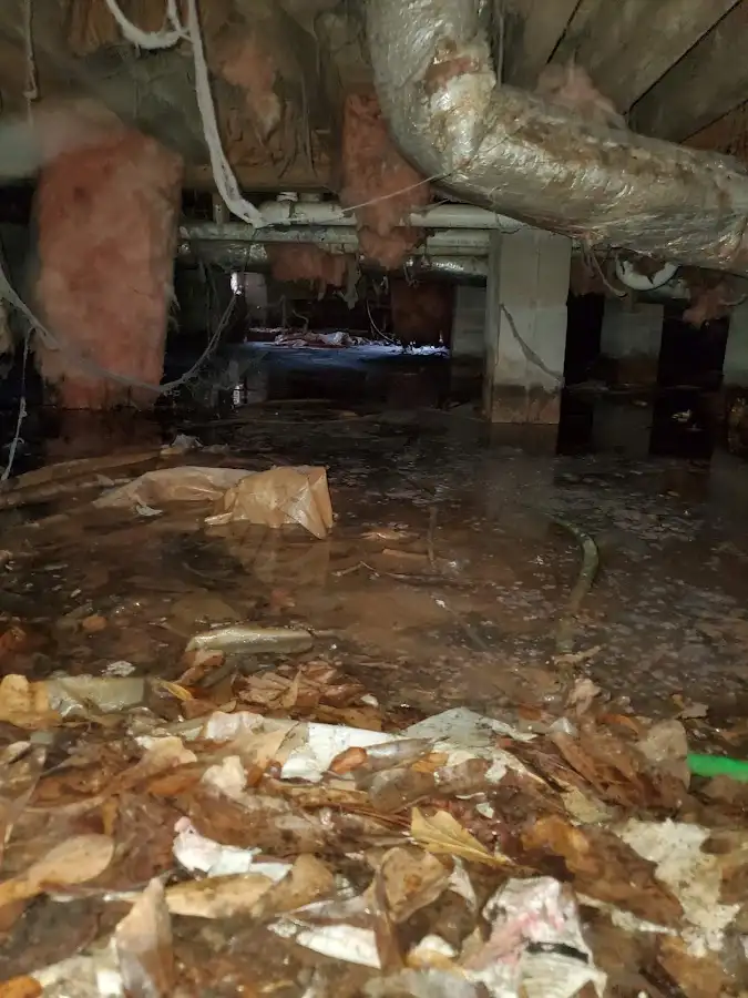 Crawl space flood assessment for Leak Detection & Repair in Edmonds