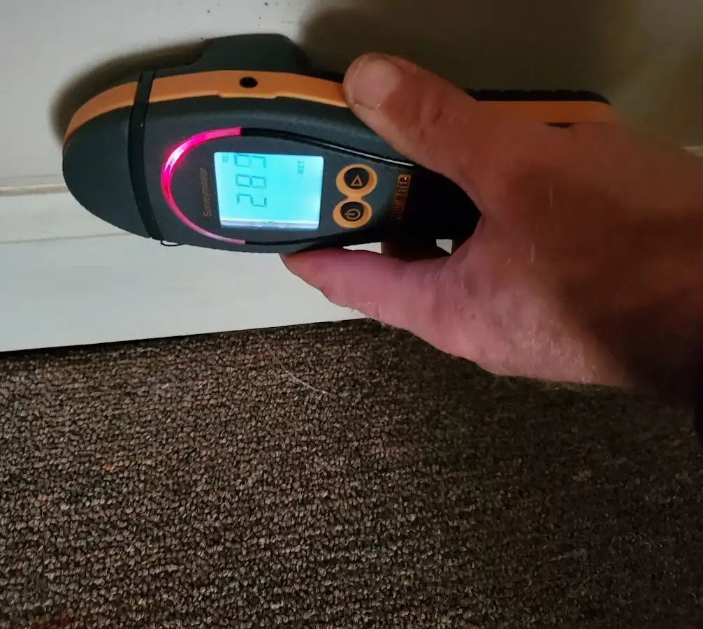 Moisture detection at baseboard during Mold Inspection & Testing in Edmonds